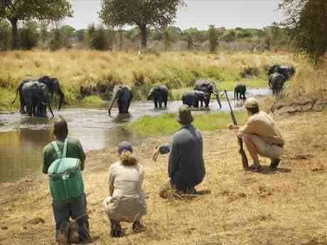 Tailormade Kenya & Tanzania Safari
